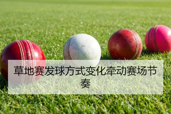 img_1790427593941_82_1_315.jpg